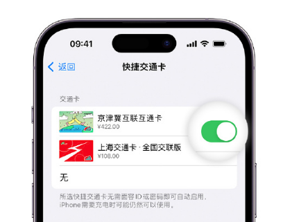 松潘apple维修点分享iPhone上更换Apple Pay快捷交通卡手绘卡面 