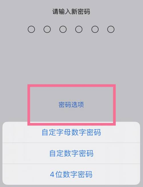 松潘苹果14维修分享iPhone 14plus设置密码的方法 