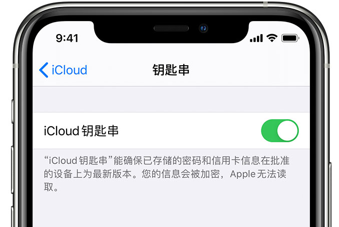 松潘苹果手机维修分享在 iPhone 上开启 iCloud 钥匙串之后会储存哪些信息 