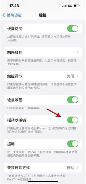 松潘苹果手机维修分享iPhone手机如何设置摇一摇删除文字 